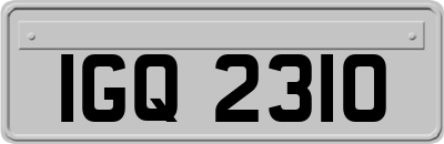 IGQ2310