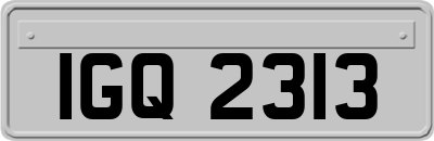 IGQ2313