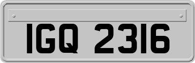 IGQ2316