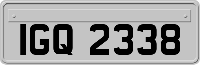 IGQ2338