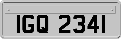 IGQ2341
