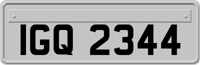 IGQ2344