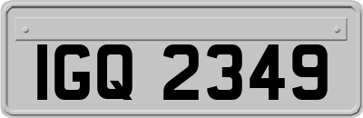 IGQ2349