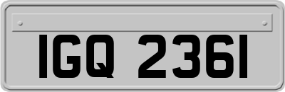IGQ2361