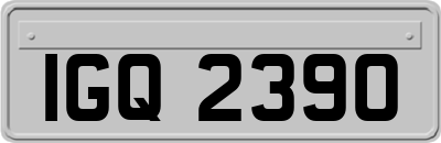 IGQ2390