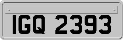 IGQ2393