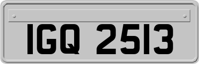 IGQ2513