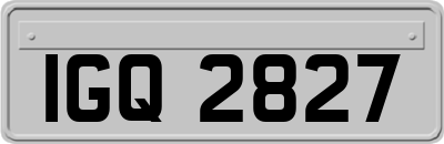 IGQ2827