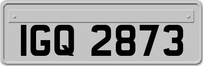 IGQ2873