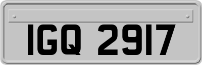 IGQ2917