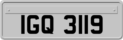 IGQ3119