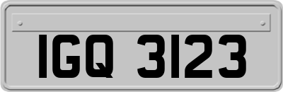 IGQ3123