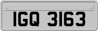 IGQ3163