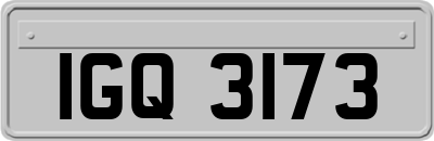 IGQ3173