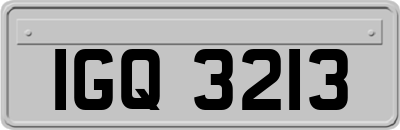 IGQ3213
