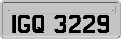 IGQ3229