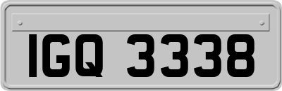 IGQ3338
