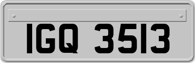 IGQ3513