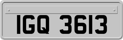IGQ3613