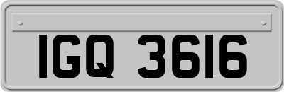 IGQ3616
