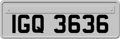 IGQ3636