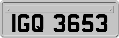 IGQ3653