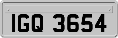 IGQ3654