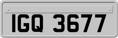 IGQ3677