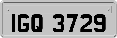 IGQ3729