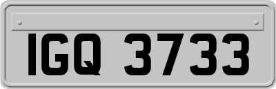 IGQ3733