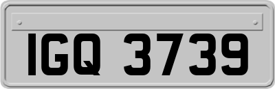 IGQ3739