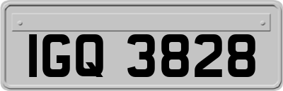 IGQ3828