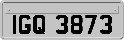 IGQ3873