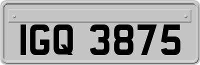 IGQ3875