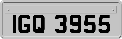 IGQ3955