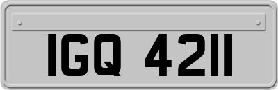 IGQ4211