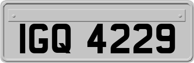 IGQ4229