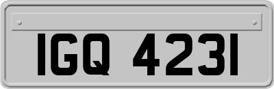 IGQ4231