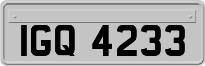 IGQ4233