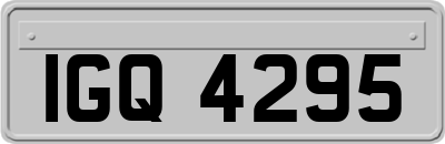 IGQ4295