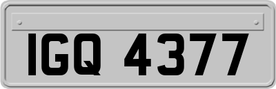 IGQ4377
