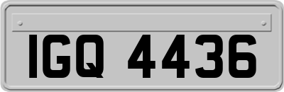 IGQ4436