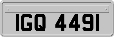 IGQ4491
