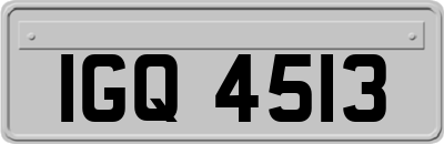 IGQ4513