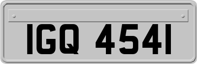 IGQ4541