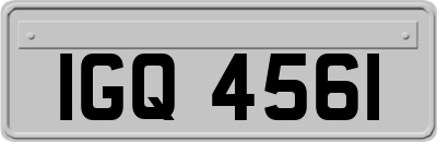 IGQ4561