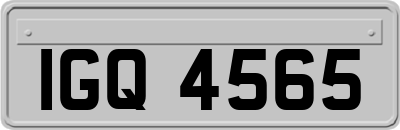 IGQ4565