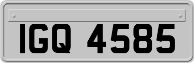 IGQ4585