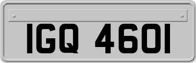 IGQ4601