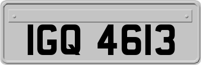 IGQ4613
